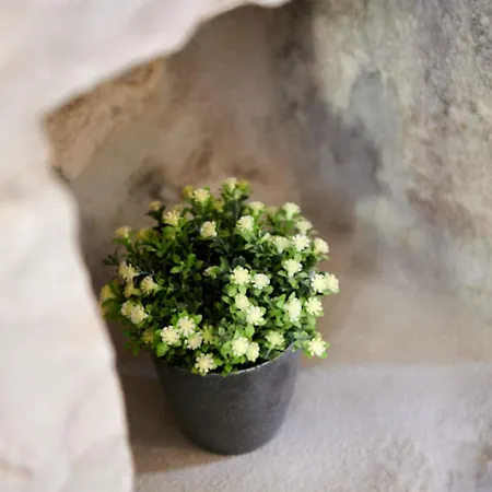 Ana Old Town Pensionat