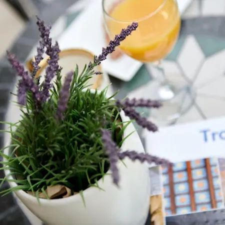 Pensionat Ana Old Town