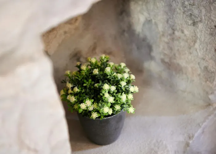 Ana Old Town Vendégház